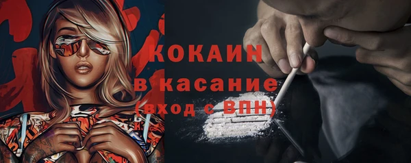 мяу мяу мука Аркадак