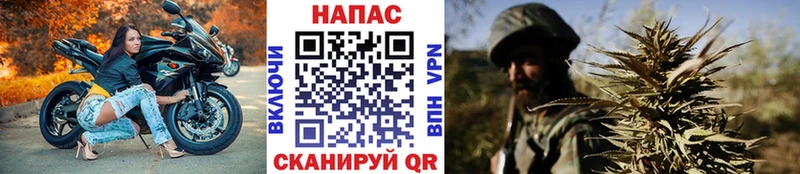 Купить где  Лебедянь  Марихуана тримм 